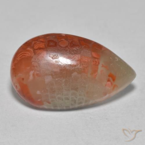 Coral Multicolorido Natural 6.49ct, Formato de pêra, Translúcido