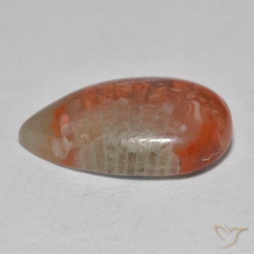 Coral Multicolorido Natural 6.49ct, Formato de pêra, Translúcido