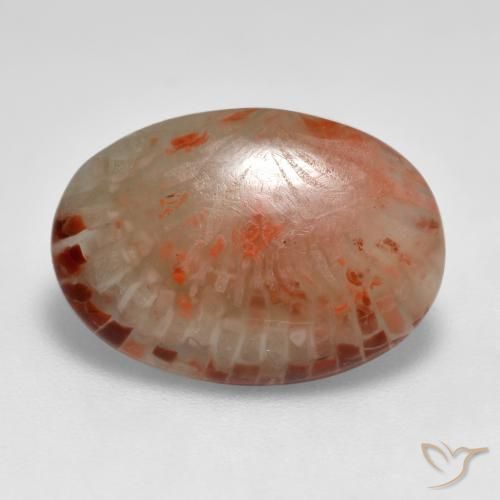 6.24ct Natural Multicolorido Coral, oval, Translúcido