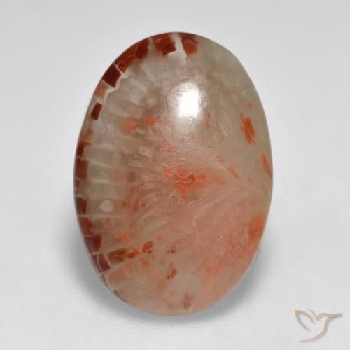 Coral Multicolorido Natural 6.24ct, oval, Translúcido