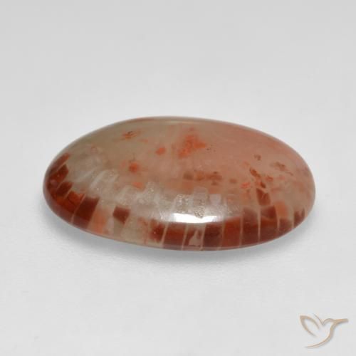 Coral Multicolorido Natural 6.24ct, oval, Translúcido