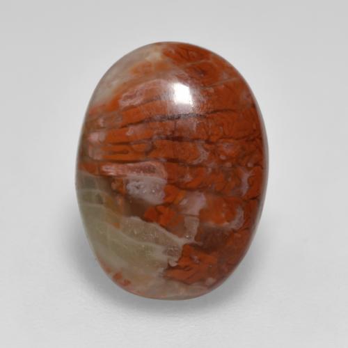 Coral multicolorido natural 4,12ct, corte oval, translúcido