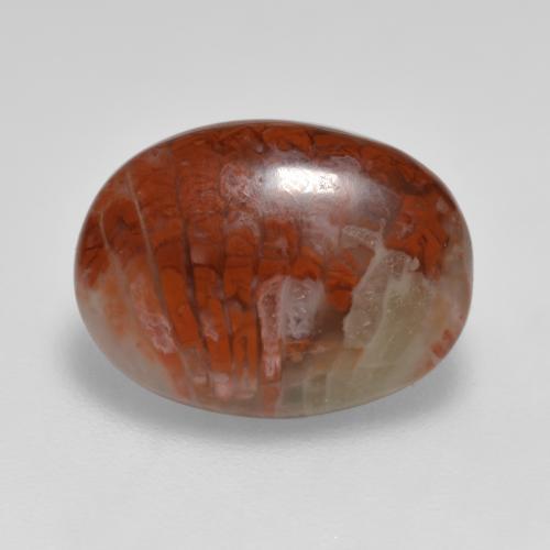 Coral multicolorido natural 4,12ct, corte oval, translúcido