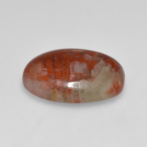 Coral multicolorido natural 4,12ct, corte oval, translúcido