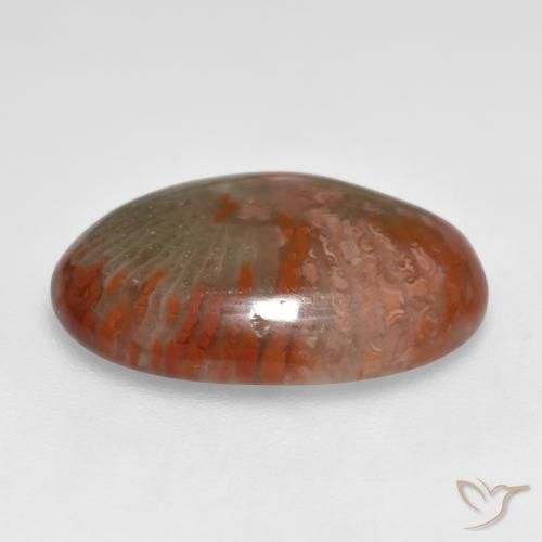 Coral Multicolorido Natural 8.55ct, oval, Translúcido