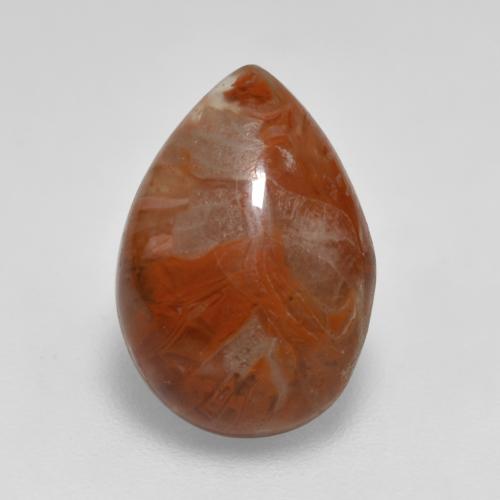 Coral Multicolorido Natural 3.56ct, Formato de pêra, Translúcido