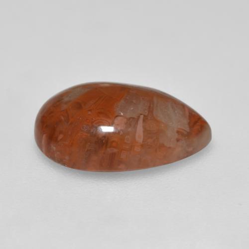 Coral Multicolorido Natural 3.56ct, Formato de pêra, Translúcido