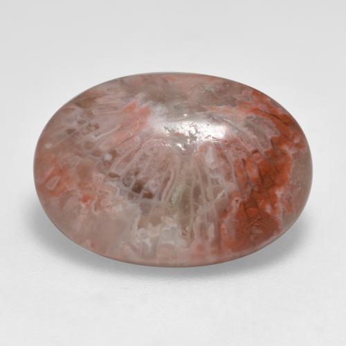 Coral multicolorido natural 7,40ct, corte oval, translúcido
