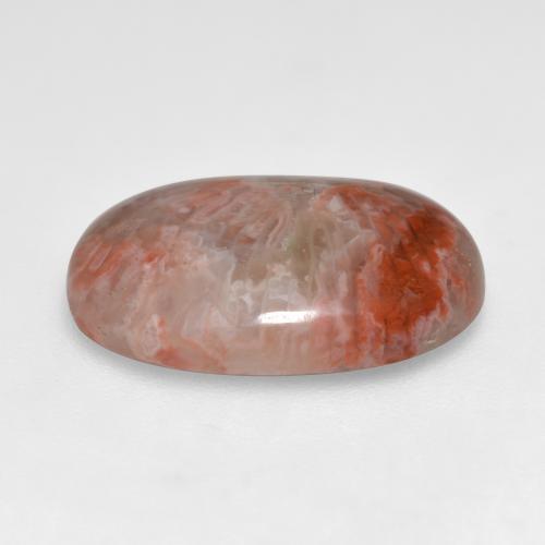 Coral multicolorido natural 7,40ct, corte oval, translúcido