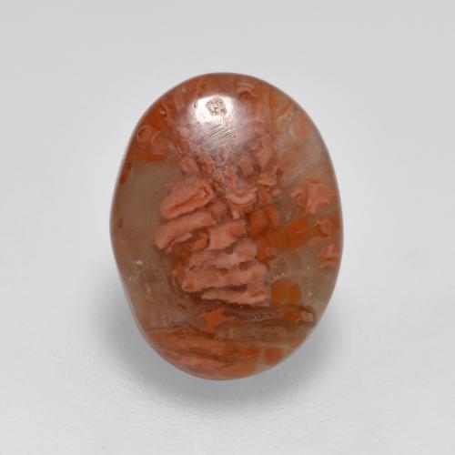 Coral multicolorido natural 2,52ct, corte oval, translúcido