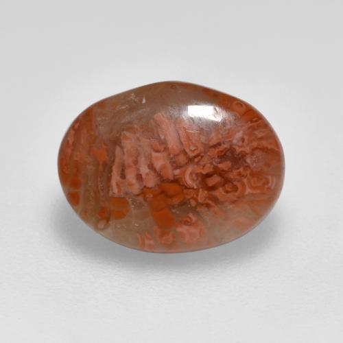 Coral multicolorido natural 2,52ct, corte oval, translúcido