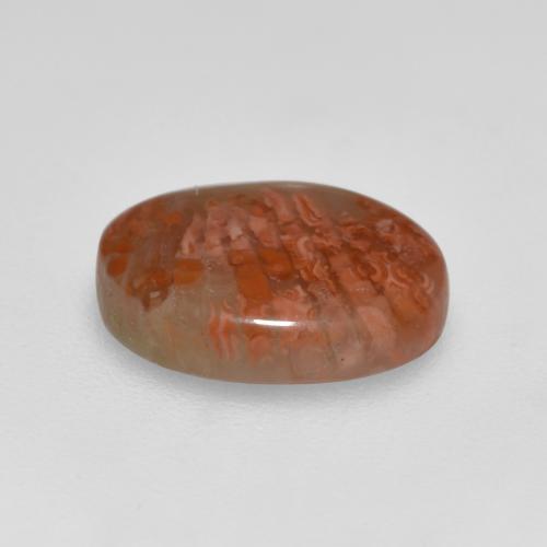Coral multicolorido natural 2,52ct, corte oval, translúcido