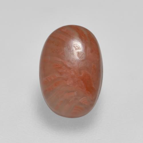 Coral multicolorido natural 2,11ct, corte oval, translúcido