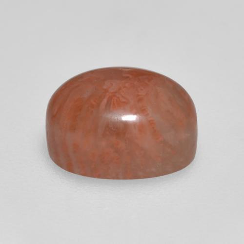 Coral multicolorido natural 2,11ct, corte oval, translúcido