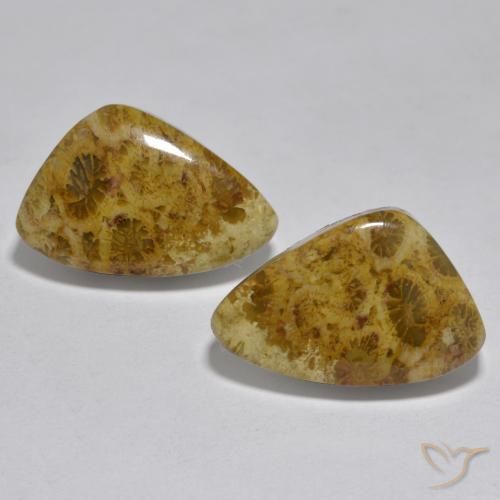 16.29ctw Natural Multicolorido Coral, Chique, Opaco