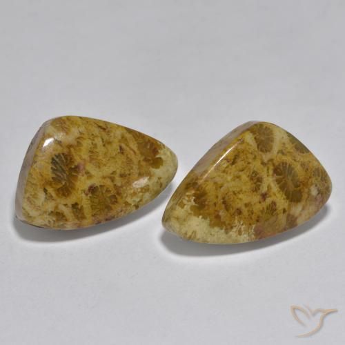 Pedras preciosas de Coral Multicolorido natural de 16.29 ct, Chique, Opaco