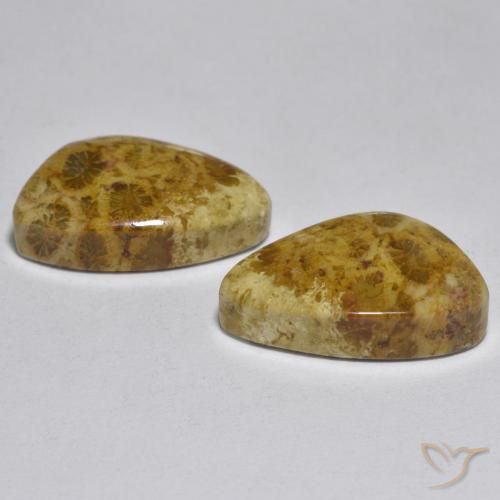 Pedras preciosas de Coral Multicolorido natural de 16.29 ct, Chique, Opaco