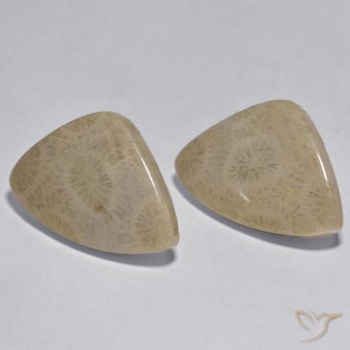 Pedras preciosas de Coral Multicolorido natural de 17.33 ct, Chique, Opaco