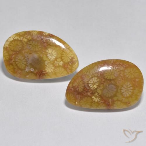16.46ctw Natural Multicolorido Coral, Chique, Opaco