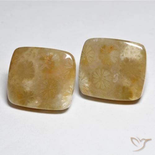 Pedras preciosas de Coral Multicolorido natural de 31.45 ct, Almofada, Opaco