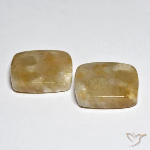 Pedras preciosas de Coral Multicolorido natural de 31.45 ct, Almofada, Opaco