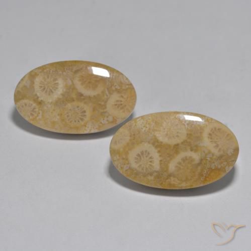27.96ctw Natural Multicolorido Coral, oval, Opaco