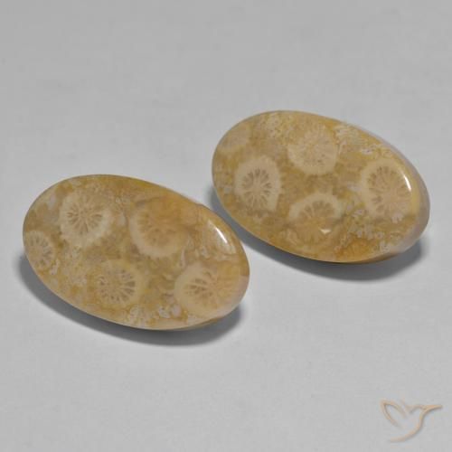Pedras preciosas de Coral Multicolorido natural de 27.96 ct, oval, Opaco