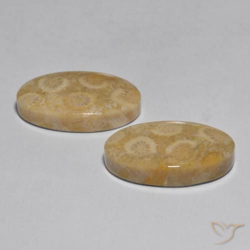 Pedras preciosas de Coral Multicolorido natural de 27.96 ct, oval, Opaco