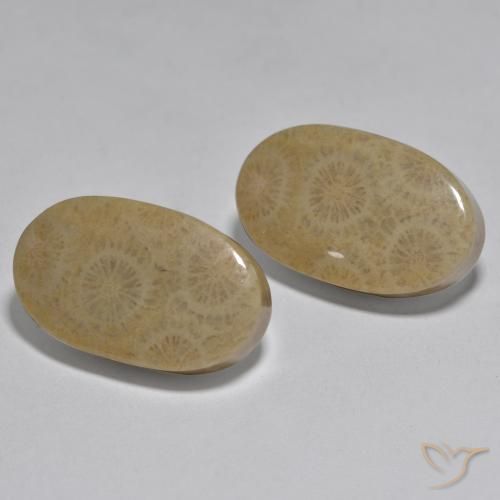 Pedras preciosas de Coral Multicolorido natural de 26.78 ct, oval, Opaco