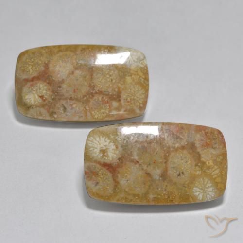 31.51ctw Natural Multicolorido Coral, Almofada, Opaco