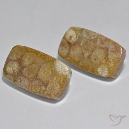 Pedras preciosas de Coral Multicolorido natural de 31.51 ct, Almofada, Opaco