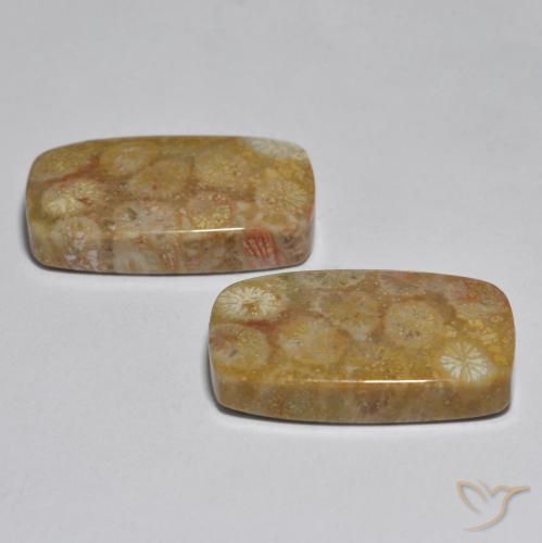 Pedras preciosas de Coral Multicolorido natural de 31.51 ct, Almofada, Opaco