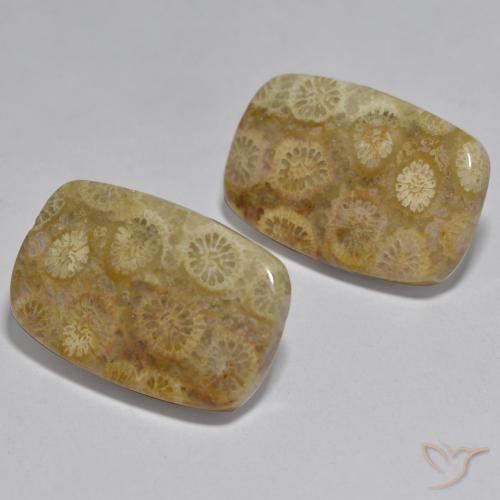 Pedras preciosas de Coral Multicolorido natural de 24.97 ct, Almofada, Opaco