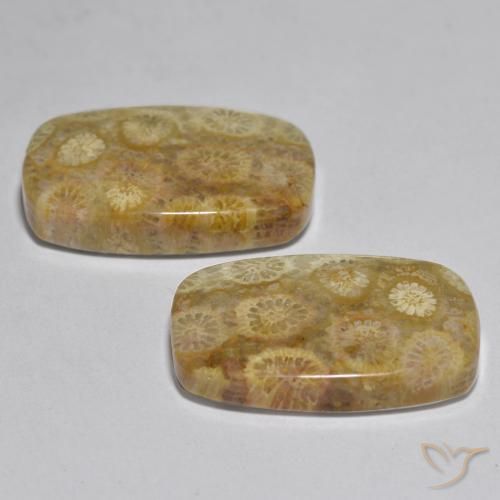 Pedras preciosas de Coral Multicolorido natural de 24.97 ct, Almofada, Opaco