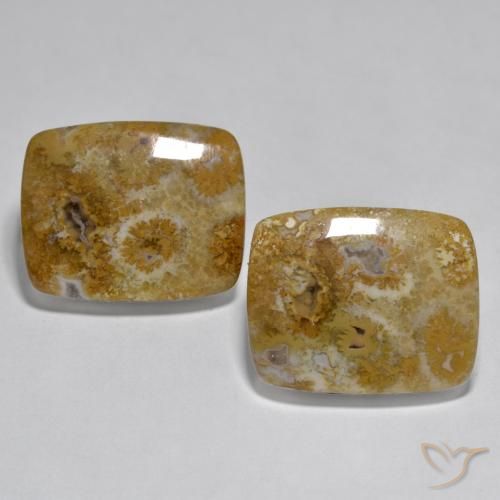 30.85ctw Natural Multicolorido Coral, Almofada, Opaco