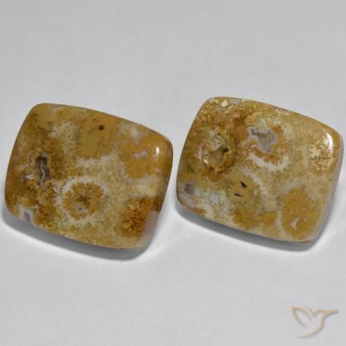 Pedras preciosas de Coral Multicolorido natural de 30.85 ct, Almofada, Opaco