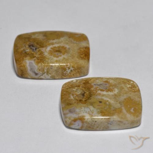 Pedras preciosas de Coral Multicolorido natural de 30.85 ct, Almofada, Opaco