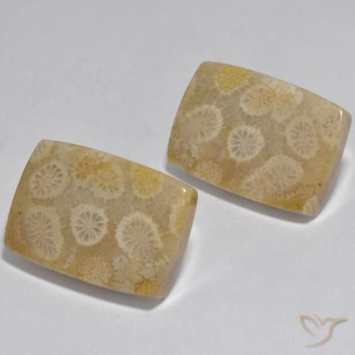 Pedras preciosas de Coral Multicolorido natural de 32.71 ct, Almofada, Opaco