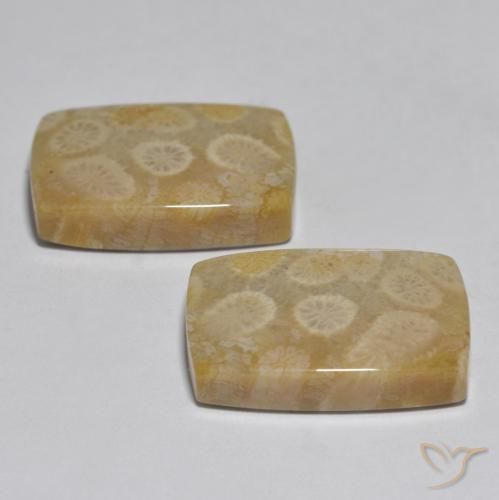 Pedras preciosas de Coral Multicolorido natural de 32.71 ct, Almofada, Opaco