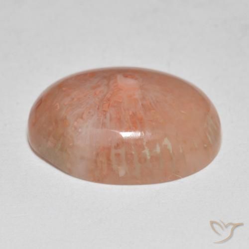 Coral Multicolorido Natural 7.86ct, oval, Translúcido