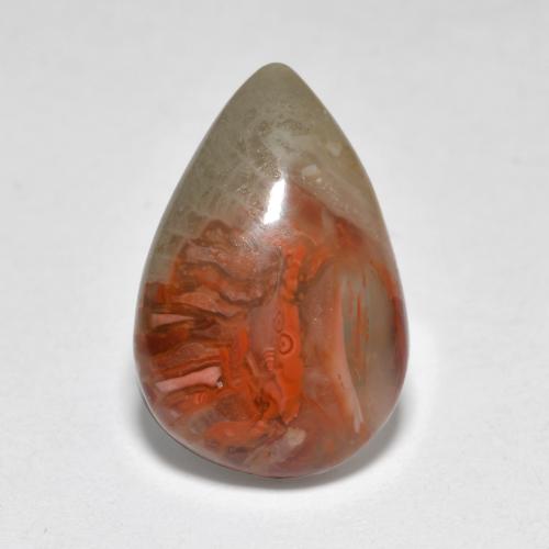 Coral multicolorido natural 4,44ct, formato de pêra, translúcido
