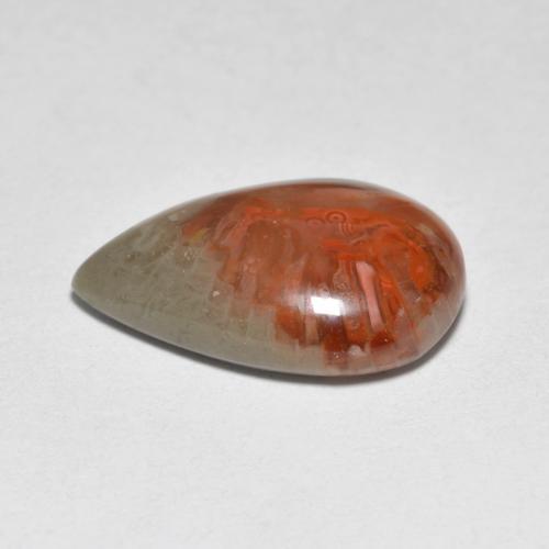 Coral multicolorido natural 4,44ct, formato de pêra, translúcido