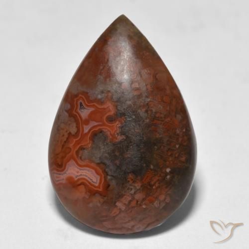 9.18ct Natural Multicolorido Coral, Formato de pêra, Translúcido