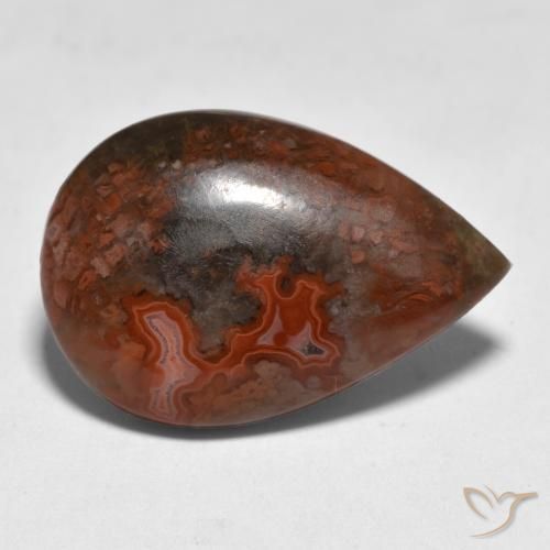Coral Multicolorido Natural 9.18ct, Formato de pêra, Translúcido