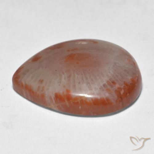 Coral multicolorido natural 11,24ct, formato de pêra, translúcido