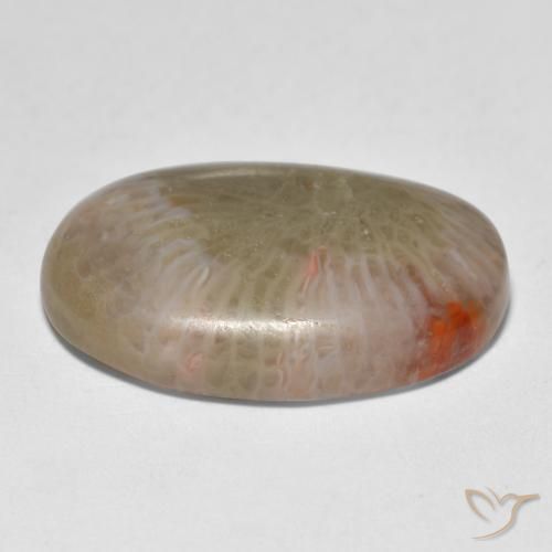 Coral Multicolorido Natural 12.89ct, oval, Translúcido