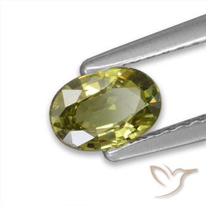 Granada demantóide Verde Floresta Quente Natural 0.57ct, oval, VVS-VS