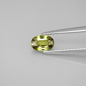 Granada demantoide verde natural 0,63ct, corte oval, VS