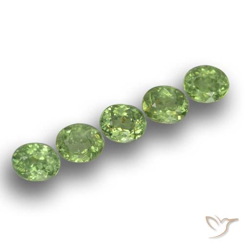 Pedras preciosas de Granada demantóide Verde floresta natural de 1.73 ct, oval, VS
