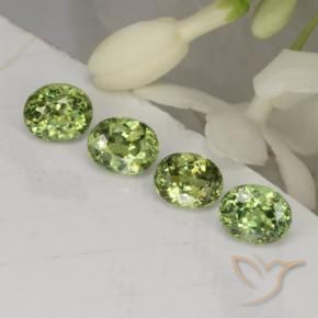 Pedras preciosas de Granada demantóide Verde floresta natural de 1.67 ct, oval, VVS-VS